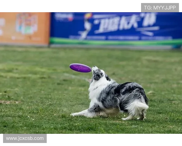 上海飞盘队在极限运动世界杯中的个人能力表现分析与点评