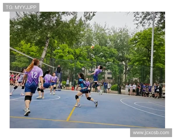 北京排球队个人能力分析与联赛表现评估