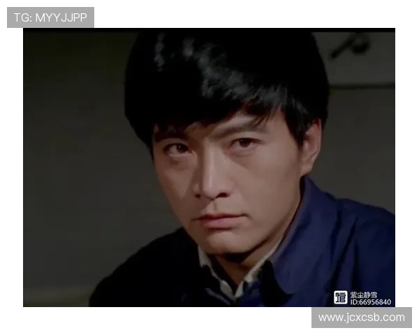 深度对话王强排球人生的起伏与坚持探索之路