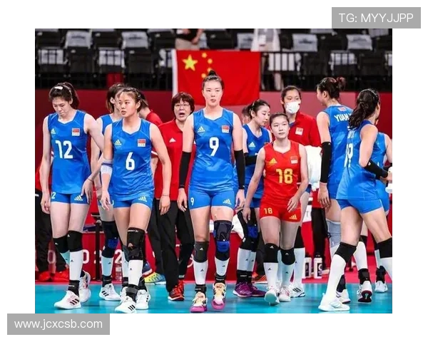 西安排球队在总决赛中的团队协作表现深度解析与评价